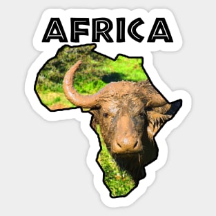 Africa Wildlife Map Muddy Buffalo Black Text Sticker